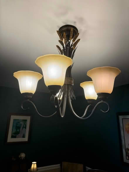 Photo of free Elegant chandelier (West Chester) #1