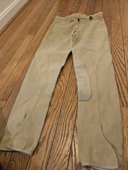 Photo of free Childrens Horse riding show stuff (Waldorf) #4