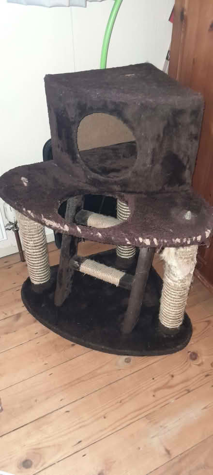 Photo of free Cat bed (Cowley OX4) #1