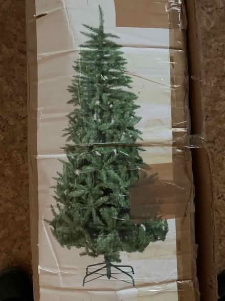 Photo of free Christmas Tree (Tunbridge Wells S. TN2) #2