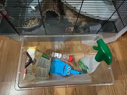 Photo of free Hamster cage (B29) #2