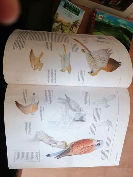 Photo of free Nature books (Stirchley B30) #4