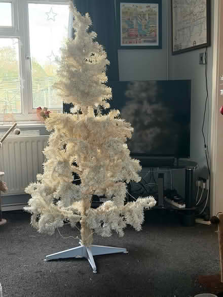 Photo of free Christmas tree (Wombourne WV5) #1