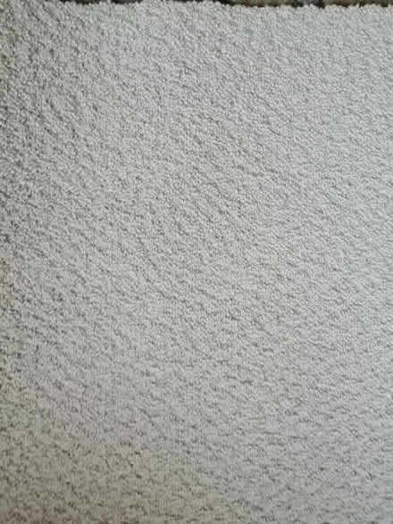 Photo of free Piece 100% wool new carpet spare (Worcester) #1