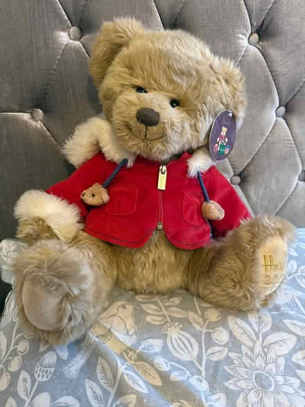 Photo of free Harrods 2007 teddy bear (Carshalton) #1