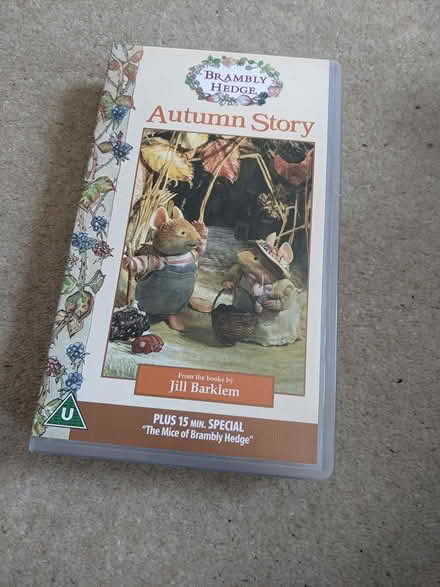 Photo of free Video - Autumn story (Hastings TN34) #1