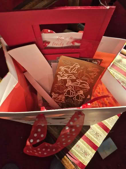 Photo of free craft bag for card making (Coombe KT3) #4