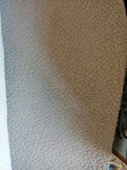 Photo of free Piece 100% wool new carpet spare (Worcester) #2