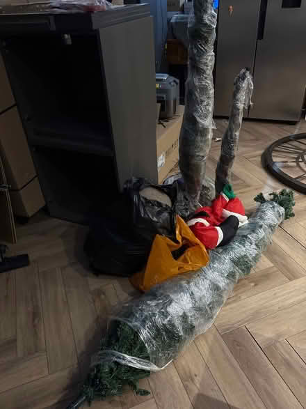 Photo of free 3 trees and some bits (Heysham) #1