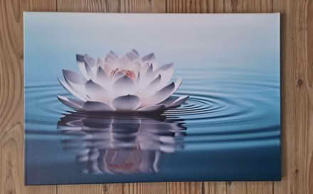 Photo of free Zen Wall Art Canvas Print - Lotus Flowers on Water (Teddington TW11) #2