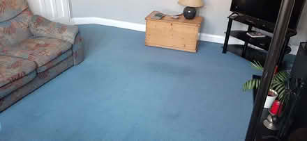Photo of free Blue wool carpet 3m x 3m (min) (Fleetville AL1) #1