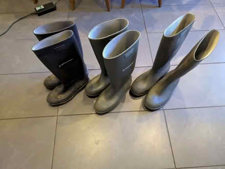 Photo of free Wellies (Morland CA10) #1