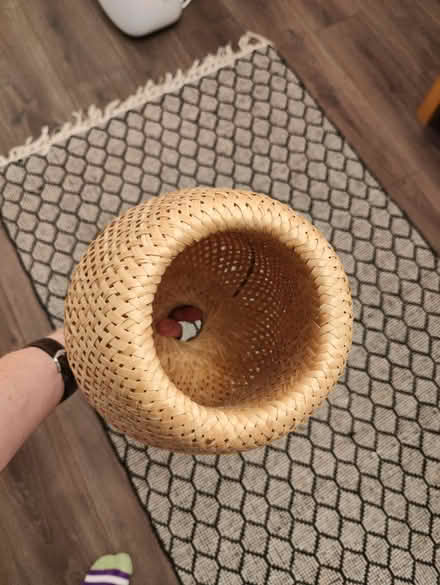 Photo of free Lamp shade (Leith EH6) #3