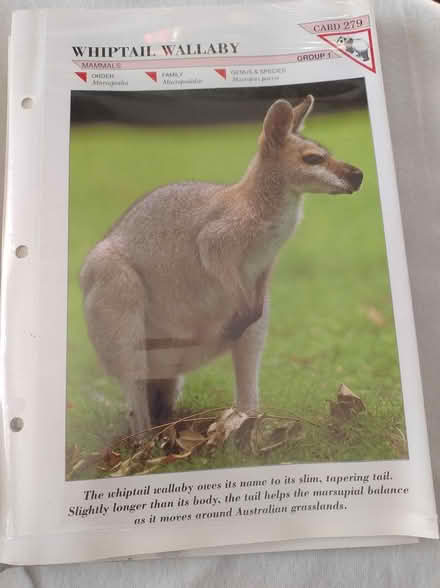 Photo of free Wildlife Info cards (Great Totham) #3