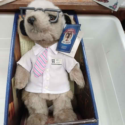 Photo of free compare the market fluffy (Sydenham SE26) #1