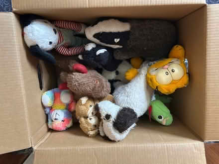 Photo of free A box of well loved soft toys (Hexham NE46) #1