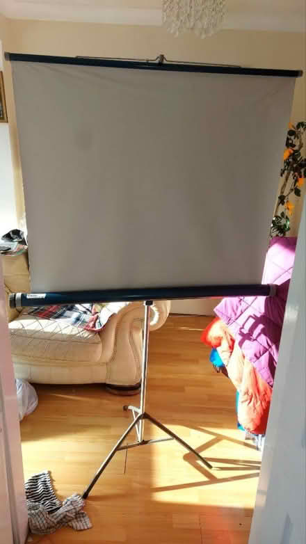 Photo of free Projector screen (Bewdley DY12) #1