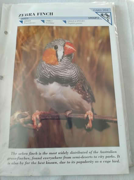 Photo of free Wildlife Info cards (Great Totham) #2