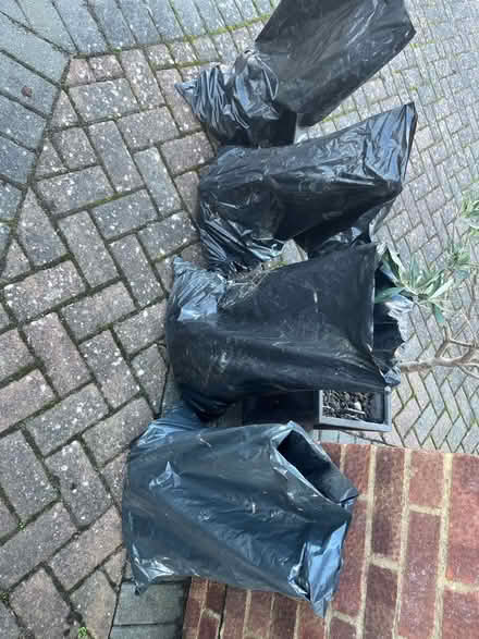 Photo of free Hardcore (Cooden TN39) #1