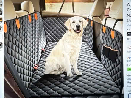 Photo of free Joejoy dog backseat protector (Borough SE1) #1