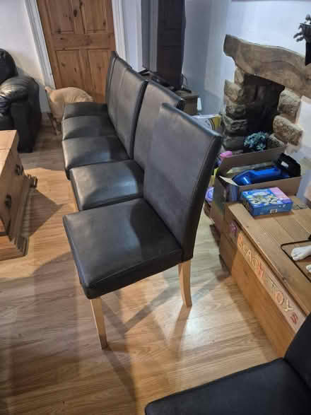 Photo of free Six dining chairs (Dawlish, EX7 9PL) #1