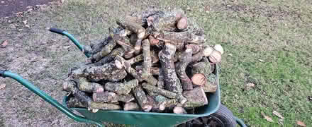 Photo of free Logs of Wood (Hatfield, AL10) #1