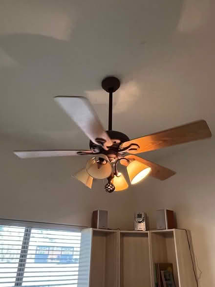 Photo of free Ceiling fan (16th St & Joy Ranch Rd) #1