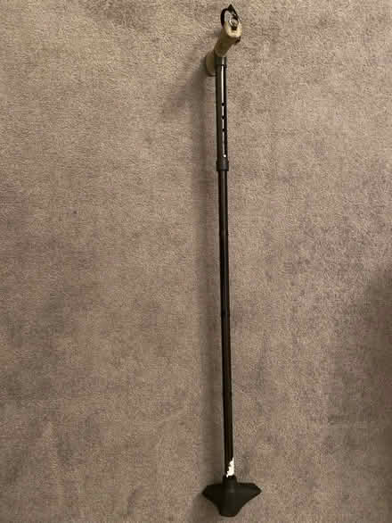 Photo of free Walking stick (Craiglockhart EH14) #1