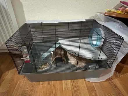 Photo of free Hamster cage (B29) #1