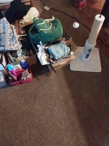 Photo of free All kinds of things (Bellbrook) #3