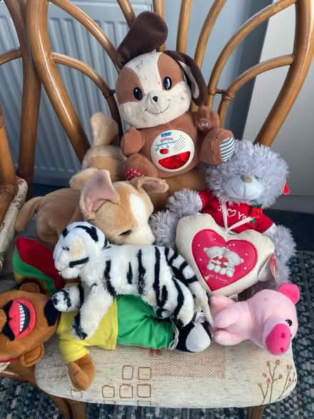 Photo of free Assorted soft toys (Billericay) #1