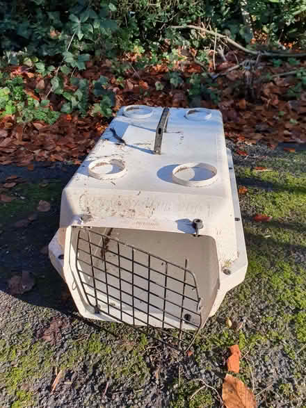 Photo of free Pet carrier (Caterham on the Hill CR3) #1