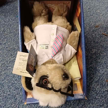 Photo of free compare the market fluffy (Sydenham SE26) #2