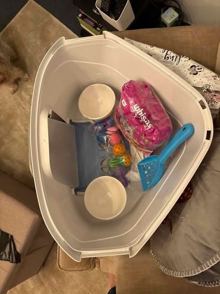 Photo of free Complete set up for a cat/kitten. (Seal TN15) #2