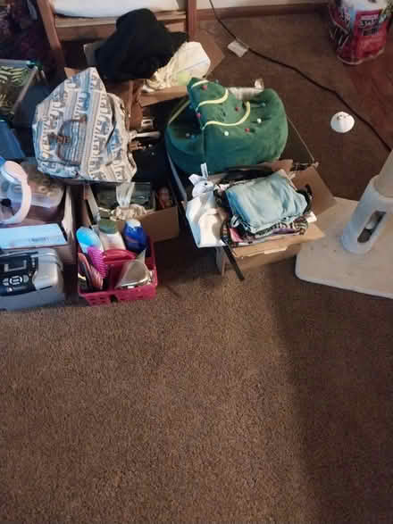 Photo of free All kinds of things (Bellbrook) #2
