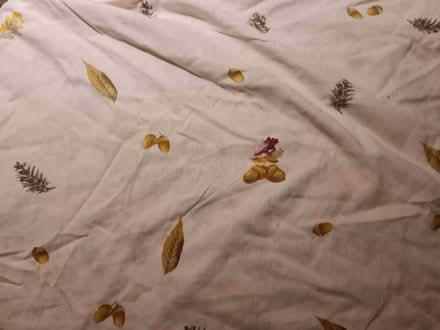 Photo of free King size duvet set, reversible, nature theme (Stratton Strawless NR10) #2