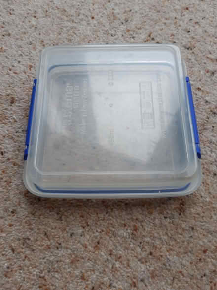 Photo of free Sandwich Box (TN24) #1