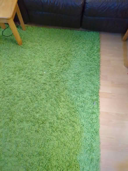 Photo of free Green shaggy rugs (TN24) #3