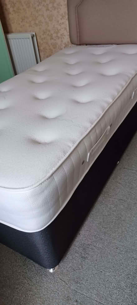 Photo of free Single bed (Portsmouth PO3) #4