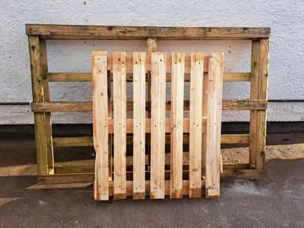 Photo of free 2 pallets (Heswall) #1
