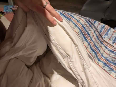 Photo of free Mattress topper feather and down (Bromham MK43) #3