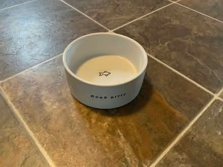 Photo of free Cat water bowl (West Groton) #1