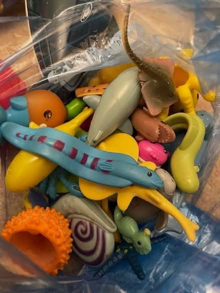 Photo of free Octonauts toys (Marchmont EH9) #4