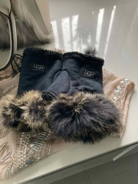 Photo of free Bags gloves and top (Beaumont) #2