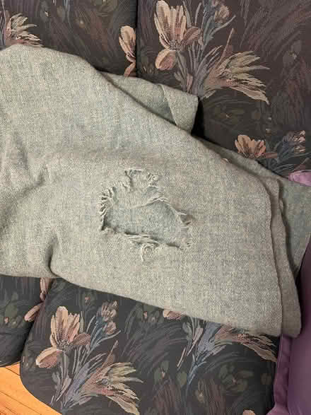 Photo of free Wool blanket with holes (Hintonburg) #1