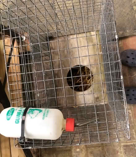 Photo of free Rabbit hutch cage (greensborough) #1
