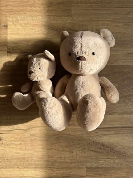 Photo of free Bear (Serangoon MRT station) #1