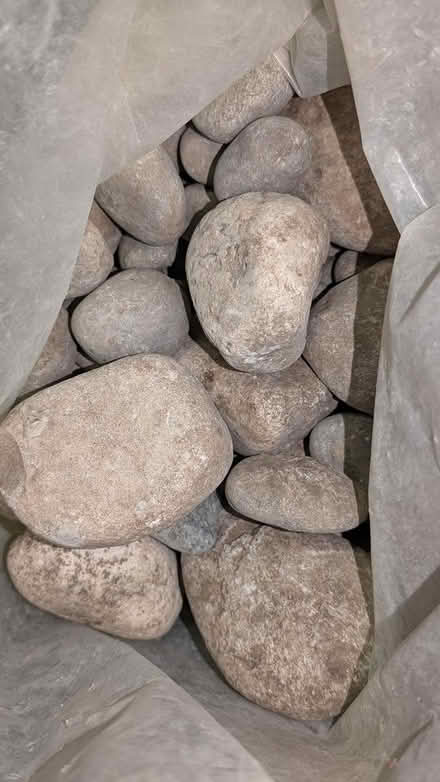 Photo of free Landscape rocks (near Christie and Dupont) #2