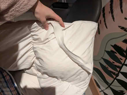 Photo of free Mattress topper feather and down (Bromham MK43) #2