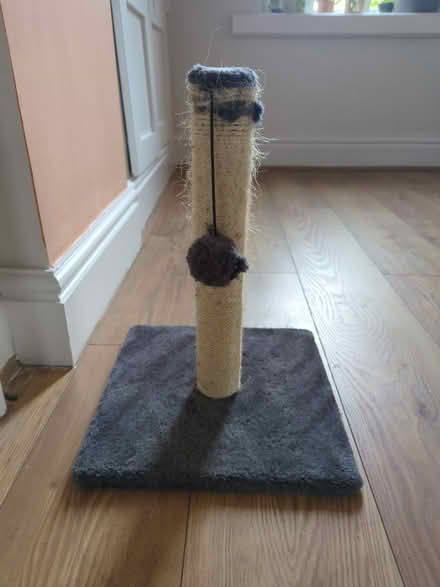 Photo of free Cat scratching post (Prenton CH43) #1